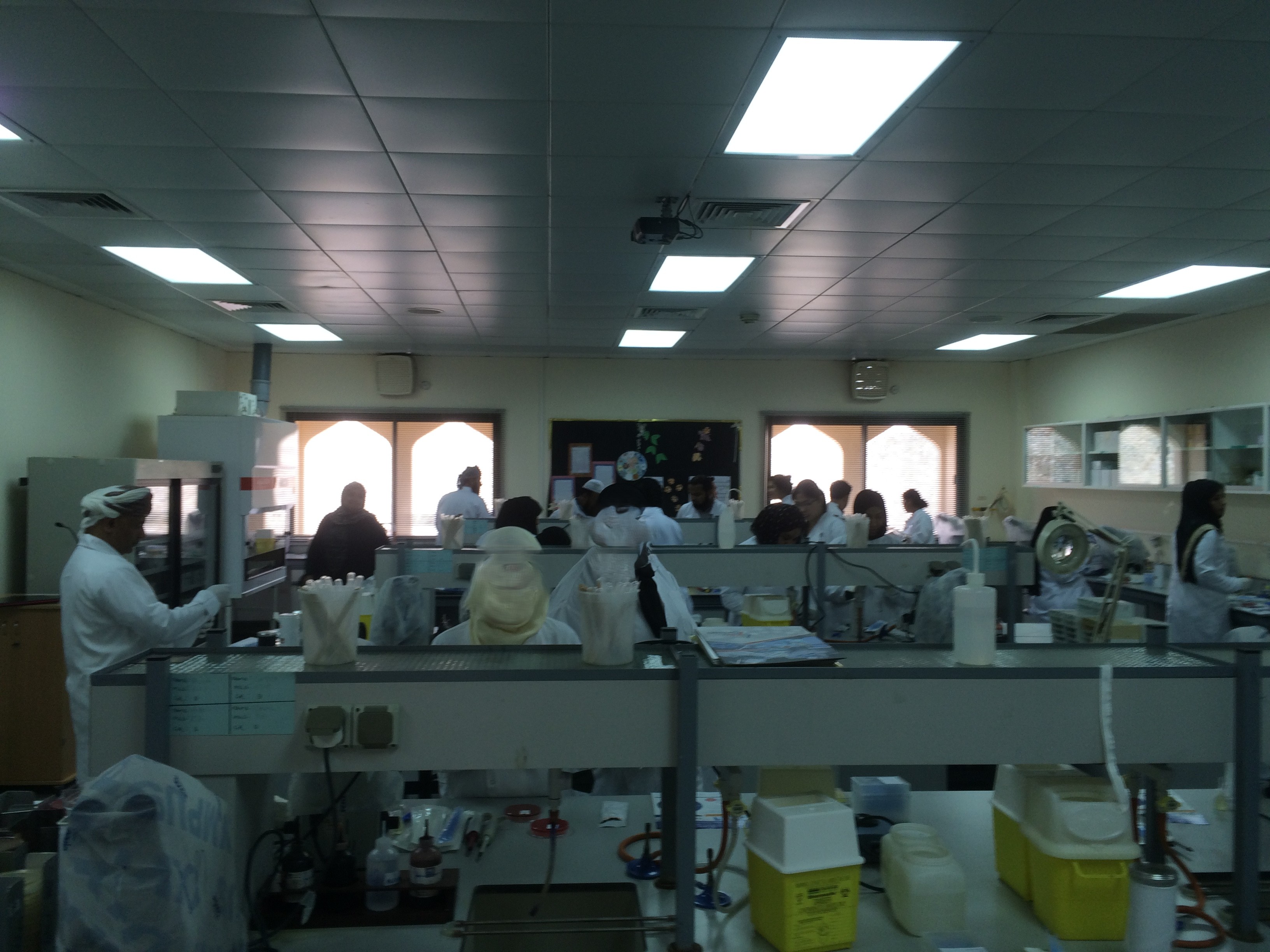 Workshop on Quality control in Microbiology 2015